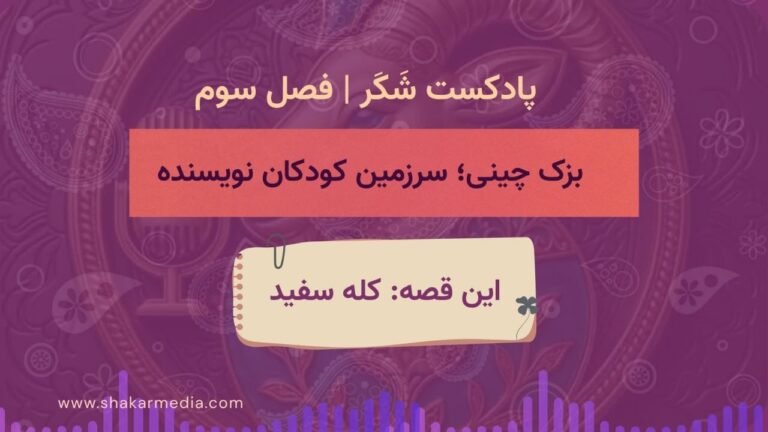 کله سفید